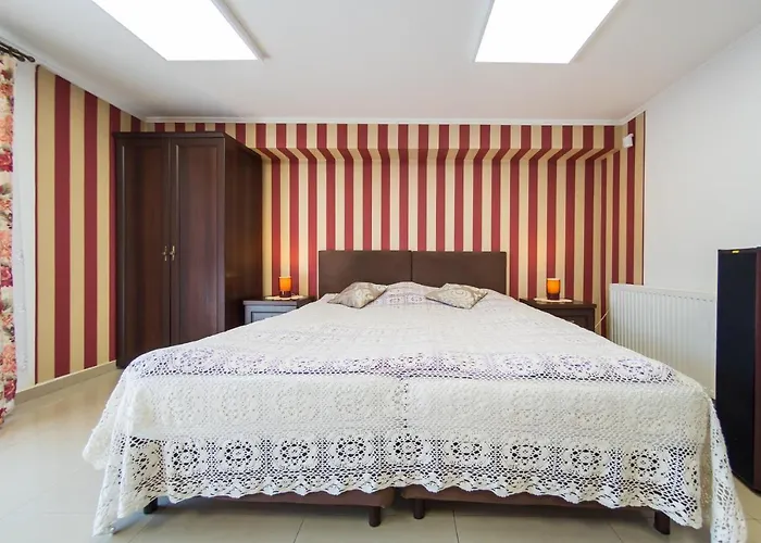 Bazancia 우스트론